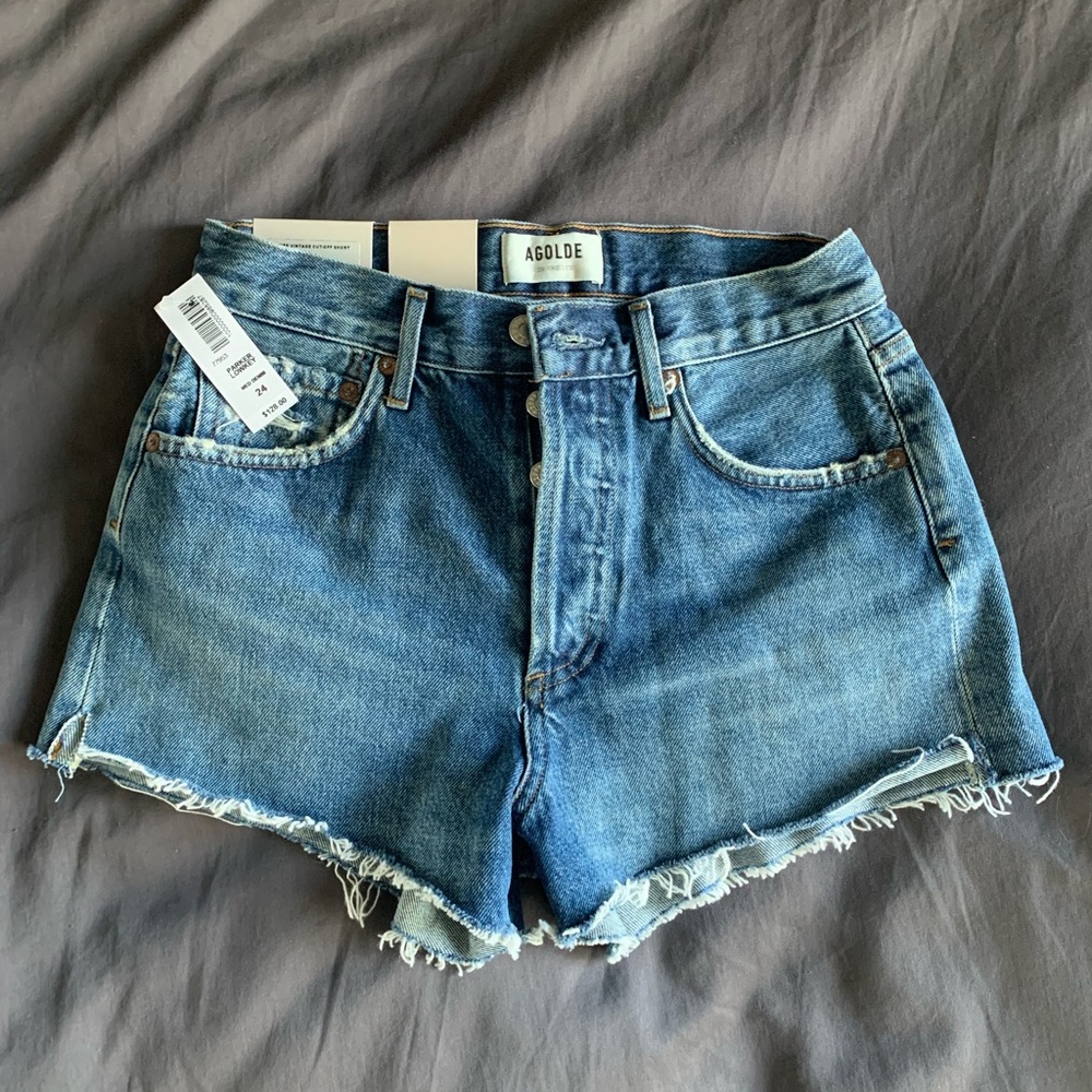 AGOLDE Parker Denim Shorts in Lowkey Size 24